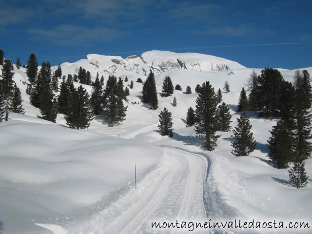 rifugio sennes